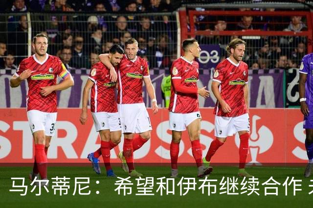 马尔蒂尼：希望和伊布继续合作 未和凯西达成一致